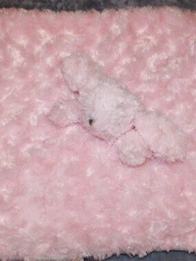 Blankets & Beyond Pink Bunny Rabbit Security Blanket Lovey Rosette Swirl Minky